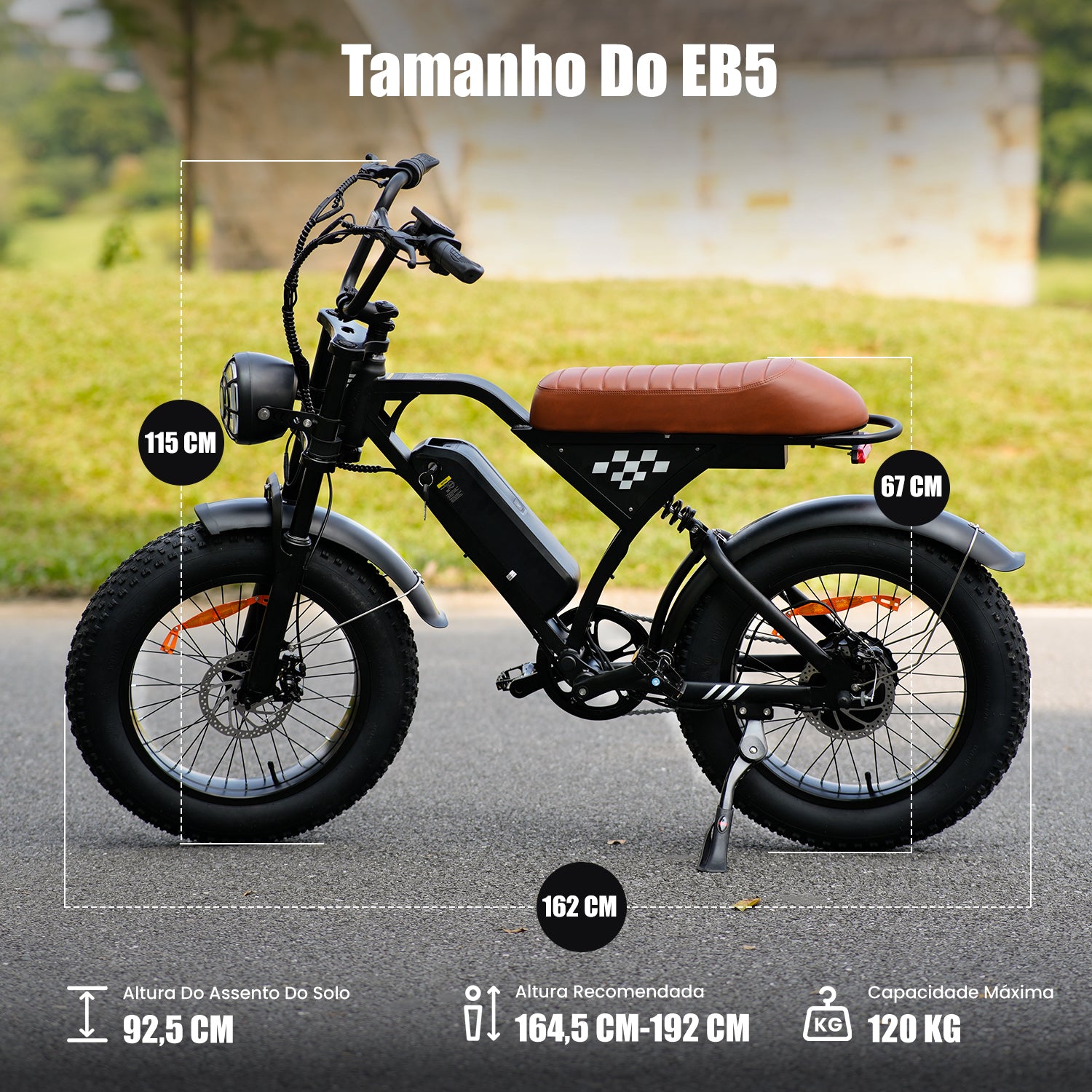 EB5 Bicicleta elétrica com motor de 1000 W para adultos