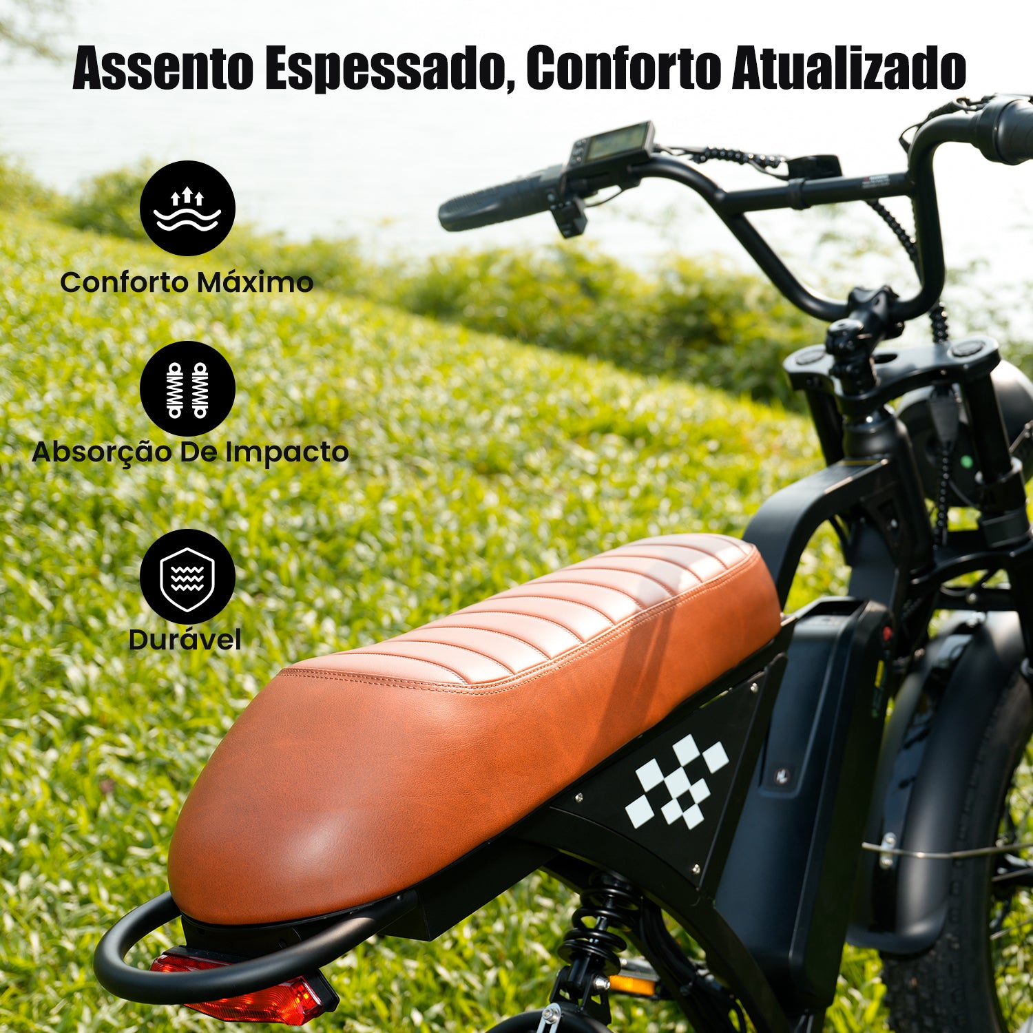 EB5 Bicicleta elétrica com motor de 1000 W para adultos