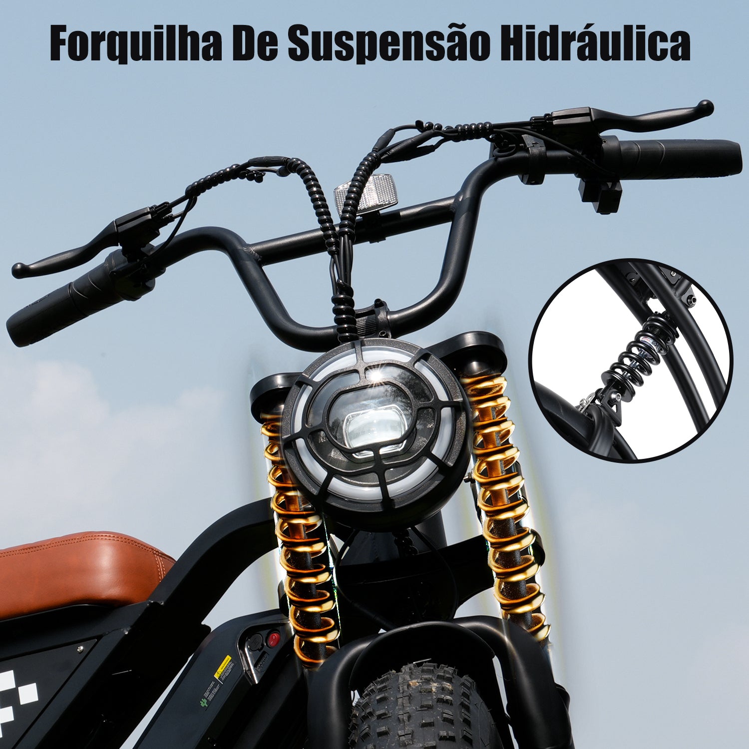 EB5 Bicicleta elétrica com motor de 1000 W para adultos