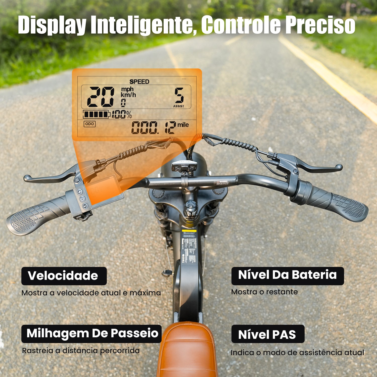 EB5 Bicicleta elétrica com motor de 1000 W para adultos
