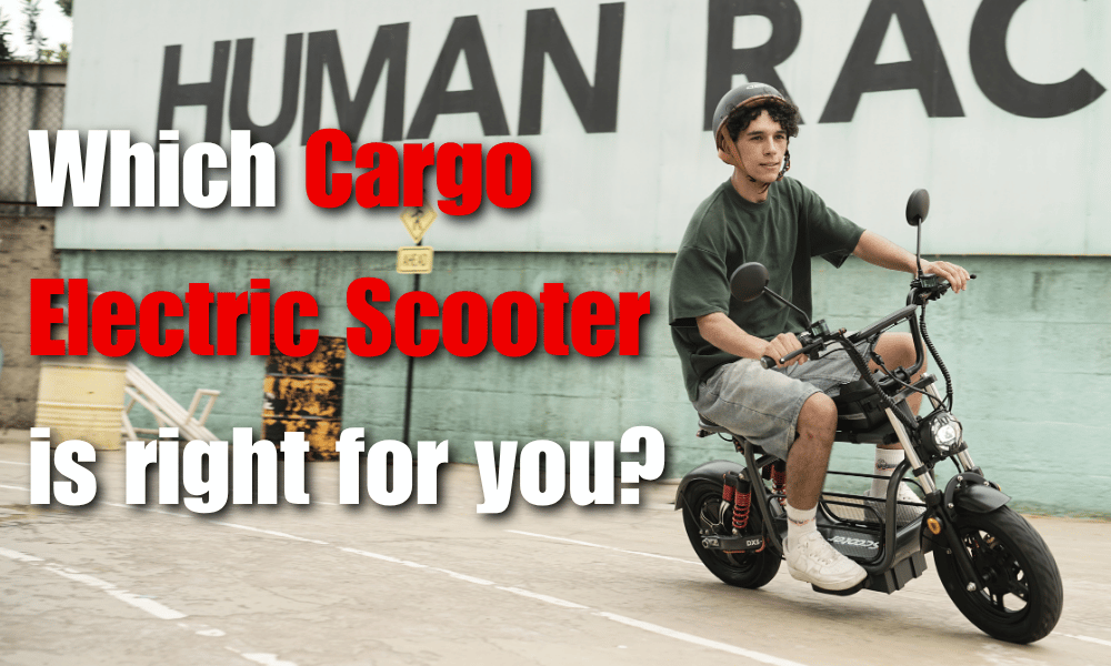 DX5 vs DX5 Pro Electric Scooter: Which High-Power Seated Scooter Is Right for You?